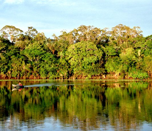 Rodada Amazônica: investimento em negócios inovadores que valorizam a territorialidade