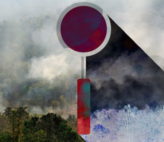 Estudo mostra falta de transparência em quase metade dos dados para acompanhamento das ações do Ministério do Meio Ambiente